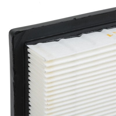 Luftfilter RIDEX 8A0269 8A0269 - foto 6
