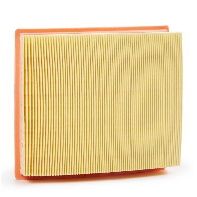 Luftfilter RIDEX 8A0269P 8A0269P - foto 4