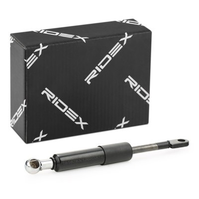 Gasfeder, Koffer-/Laderaum RIDEX 2454G0006 2454G0006 - foto 2