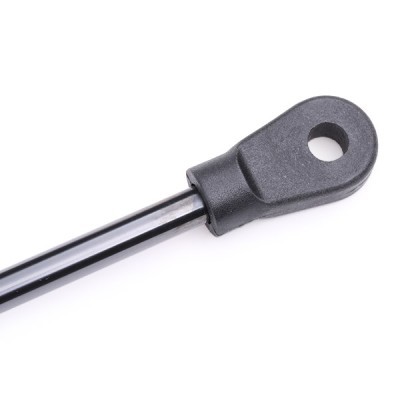 Gasfeder, Koffer-/Laderaum RIDEX 219G0245 219G0245 - foto 5