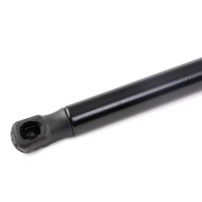 Gasfeder, Koffer-/Laderaum RIDEX 219G0269 219G0269 - foto 4
