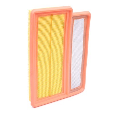 Luftfilter RIDEX 8A0663 8A0663 - foto 3