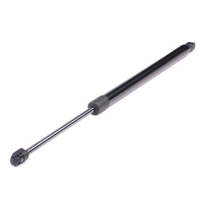 Gasfeder, Koffer-/Laderaum RIDEX 219G0422 219G0422 - foto 6