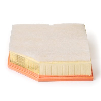 Luftfilter RIDEX 8A0836P 8A0836P - foto 5