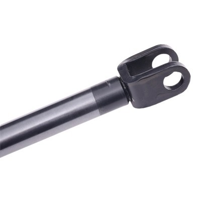 Gasfeder, Koffer-/Laderaum RIDEX 219G0191 219G0191 - foto 5