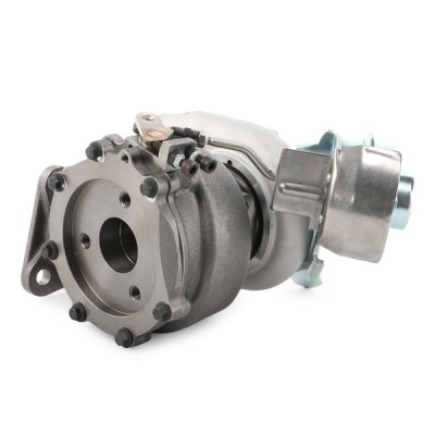Turbolader RIDEX 2234C0389 2234C0389 - foto 6