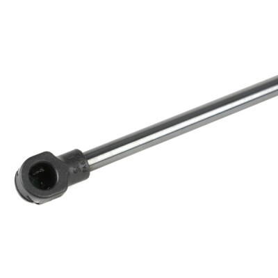 Gasfeder, Koffer-/Laderaum RIDEX 2454G0024 2454G0024 - foto 4