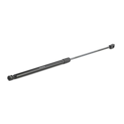 Gasfeder, Koffer-/Laderaum RIDEX 219G0865 219G0865 - foto 7