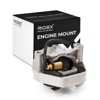 Motoraufhängung RIDEX 247E1099 247E1099 - foto 3
