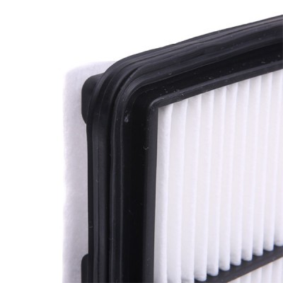 Luftfilter RIDEX 8A0865 8A0865 - foto 5