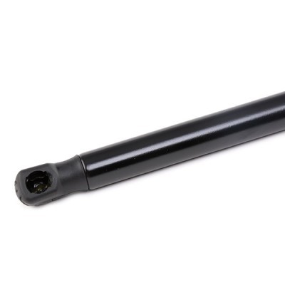Gasfeder, Koffer-/Laderaum RIDEX 219G0795 219G0795 - foto 4