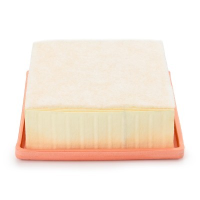 Luftfilter RIDEX 8A0642P 8A0642P - foto 4