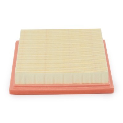Luftfilter RIDEX 8A0043P 8A0043P - foto 4
