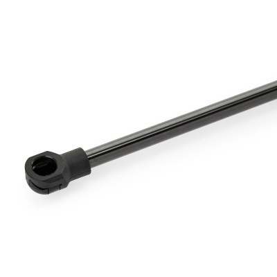 Gasfeder, Koffer-/Laderaum RIDEX 219G0204 219G0204 - foto 7