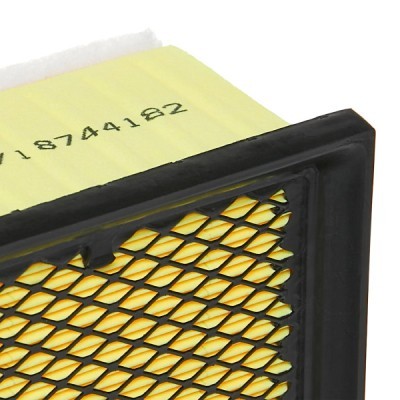 Luftfilter RIDEX 8A0086P 8A0086P - foto 6