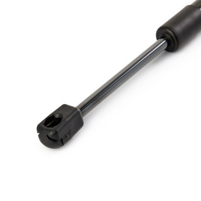Gasfeder, Koffer-/Laderaum RIDEX 219G1635 219G1635 - foto 4