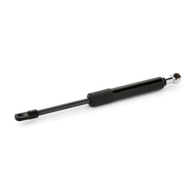 Gasfeder, Koffer-/Laderaum RIDEX 2454G0004 2454G0004 - foto 2