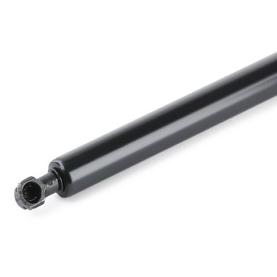 Gasfeder, Koffer-/Laderaum RIDEX 219G0940 219G0940 - foto 5