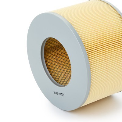 Luftfilter RIDEX 8A0262 8A0262 - foto 5