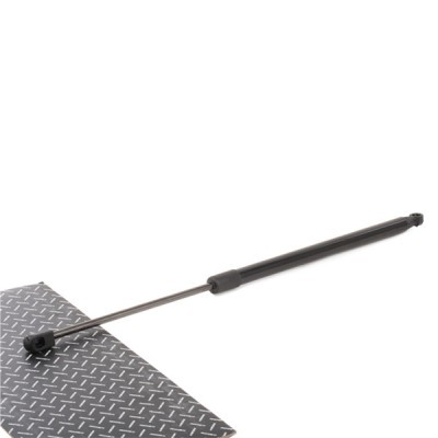 Gasfeder, Koffer-/Laderaum RIDEX 219G0936 219G0936 - foto 2