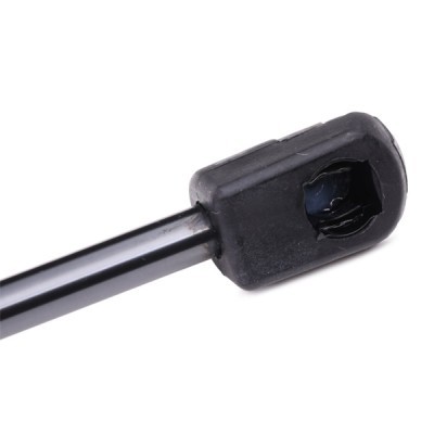 Gasfeder, Koffer-/Laderaum RIDEX 219G0003 219G0003 - foto 6