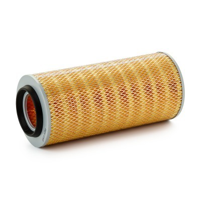 Luftfilter RIDEX 8A0619 8A0619 - foto 2