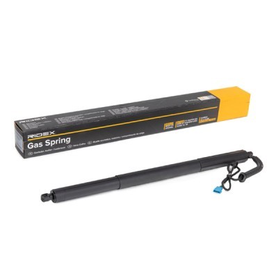 Gasfeder, Koffer-/Laderaum RIDEX 219G1033 219G1033 - foto 2