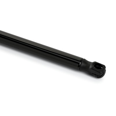 Gasfeder, Koffer-/Laderaum RIDEX 219G1019 219G1019 - foto 5