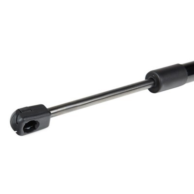 Gasfeder, Koffer-/Laderaum RIDEX 2454G0020 2454G0020 - foto 5