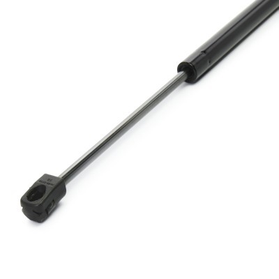 Gasfeder, Koffer-/Laderaum RIDEX 219G1266 219G1266 - foto 4