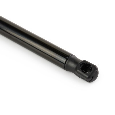 Gasfeder, Koffer-/Laderaum RIDEX 219G1635 219G1635 - foto 5