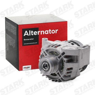 Generator Stark SKGN-0320928 SKGN-0320928 - foto 2