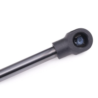 Gasfeder, Koffer-/Laderaum RIDEX 219G0247 219G0247 - foto 5