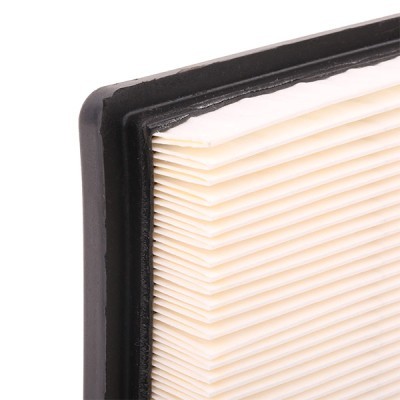 Luftfilter RIDEX 8A0286 8A0286 - foto 6