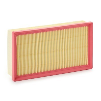 Luftfilter RIDEX 8A0724 8A0724 - foto 2