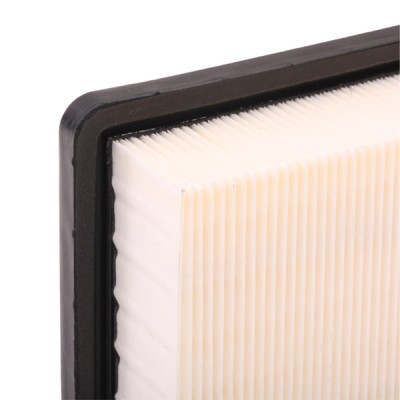 Luftfilter RIDEX 8A0313 8A0313 - foto 6