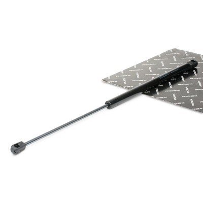 Gasfeder, Koffer-/Laderaum RIDEX 219G0302 219G0302 - foto 2