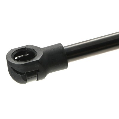 Gasfeder, Koffer-/Laderaum RIDEX 2454G0008 2454G0008 - foto 5