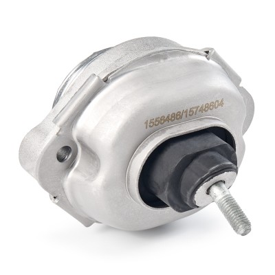 Motoraufhängung RIDEX 247E0440 247E0440 - foto 6