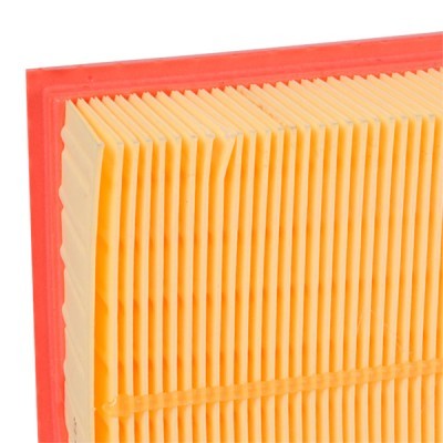 Luftfilter RIDEX 8A0297 8A0297 - foto 5