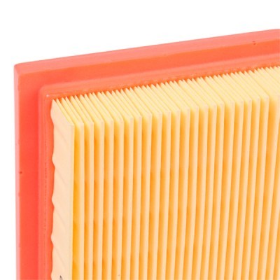 Luftfilter RIDEX 8A0043 8A0043 - foto 5