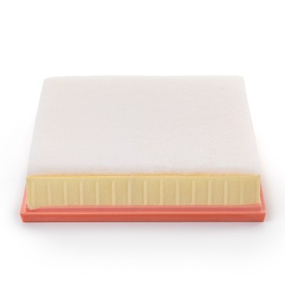 Luftfilter RIDEX 8A0093P 8A0093P - foto 5