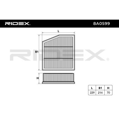 Luftfilter RIDEX 8A0599 8A0599 - foto 6