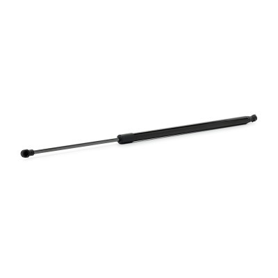 Gasfeder, Koffer-/Laderaum RIDEX 219G1448 219G1448 - foto 2