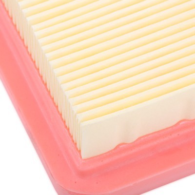 Luftfilter RIDEX 8A0794 8A0794 - foto 5