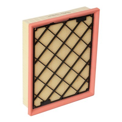 Luftfilter RIDEX 8A0679 8A0679 - foto 3