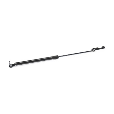 Gasfeder, Koffer-/Laderaum RIDEX 219G1063 219G1063 - foto 3