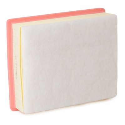 Luftfilter RIDEX 8A0644 8A0644 - foto 4