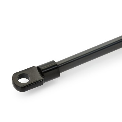 Gasfeder, Koffer-/Laderaum RIDEX 2454G0004 2454G0004 - foto 4