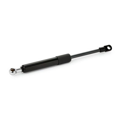 Gasfeder, Koffer-/Laderaum RIDEX 2454G0004 2454G0004 - foto 3